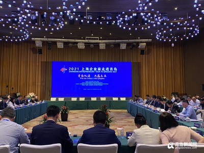 上海企业家组团访青，11个合作项目集中签约——月星岸传媒见证区域协作新篇章